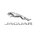 jaguar-menorca